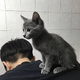 yC74968668 · 探险者车主·车龄3年头像