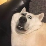 战火烧胸毛头像