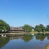 涛哥8253头像