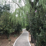 王文武大臣头像