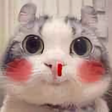 用户440378860016头像