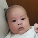 九哥123958头像