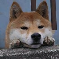 用户3338215170187头像