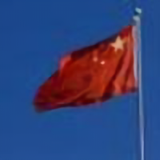 琪龙8头像