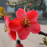 76543470头像