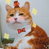 Yearn哈头像