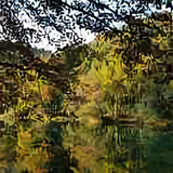 羅翔528头像