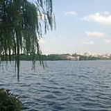 wu143270700头像