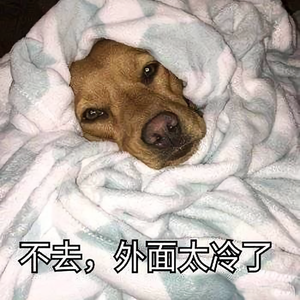 小灰狼biubiu头像