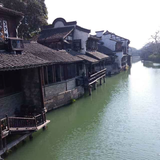 动起来246头像