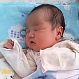 鹏翅高飞头像