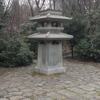 在战江湖81654987头像