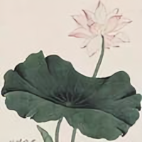 油腻大叔Li头像