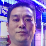 山林大猫头像