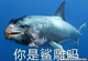 无名乡头像