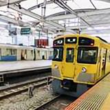 宁波萌先生头像