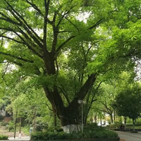 敬哥哥小哥头像