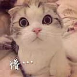 菩提6648头像