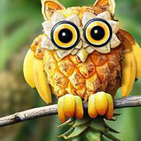 轱辘不是圆的头像