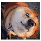 十三57788头像