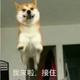 22664懂吗头像