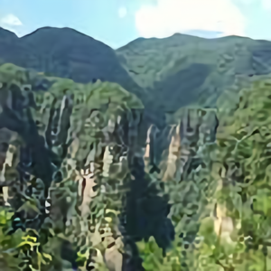 绿水青山81009498390头像