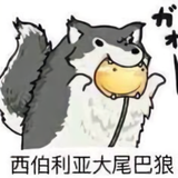 0831日头像