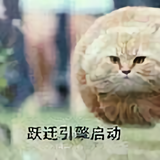 雪莲花belief头像