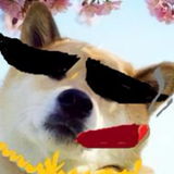 李二说车头像
