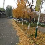 回忆278436114头像