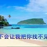 东海乐鱼头像