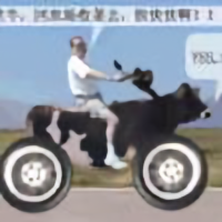 心甘情愿142841767头像