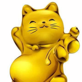 默黎斯凯bit头像