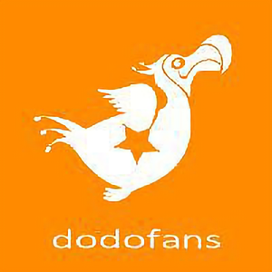 多粉dodofans头像