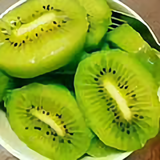 弥猴桃鹏哥头像