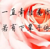 河池长安欧尚头像