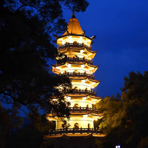 刺桐须影头像