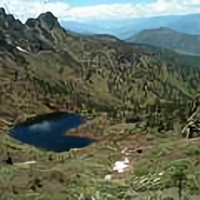 大山里的傈僳爬小蜂头像