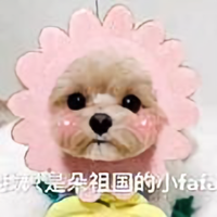 小k说事头像