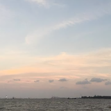 卧倒小白一枚头像