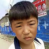 某条一群猪头像