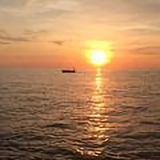 海边拾贝2993头像