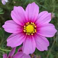 用户8952139867544头像