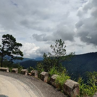 细节决定成败376头像