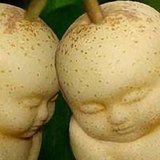 欢快蜻蜓Fa头像
