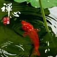 战狼头像