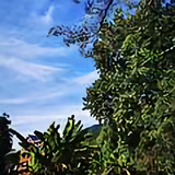 心匠造物头像