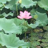 蜗牛小小姐头像