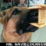 逗笑神生头像