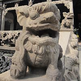 鸡小编头像